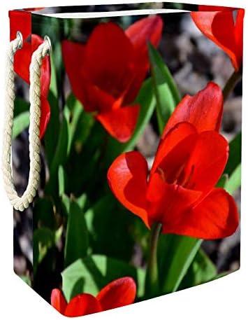 Vörös Virág Tulipán 19.3 Nagy Méretű Vízálló, Összehajtható Szennyesben Vödör Kezeli a tárolóban,Gyerek Szoba,Haza Szervező,Óvoda